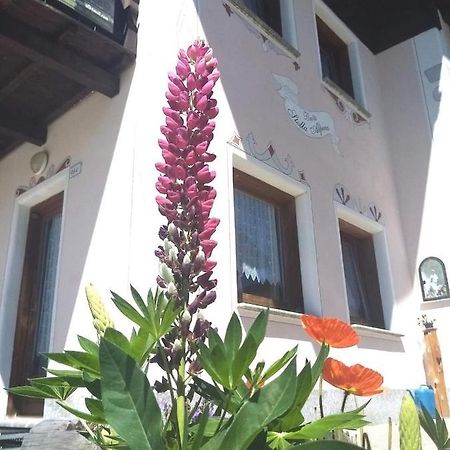 Baita Stella Alpina Livigno Exteriér fotografie