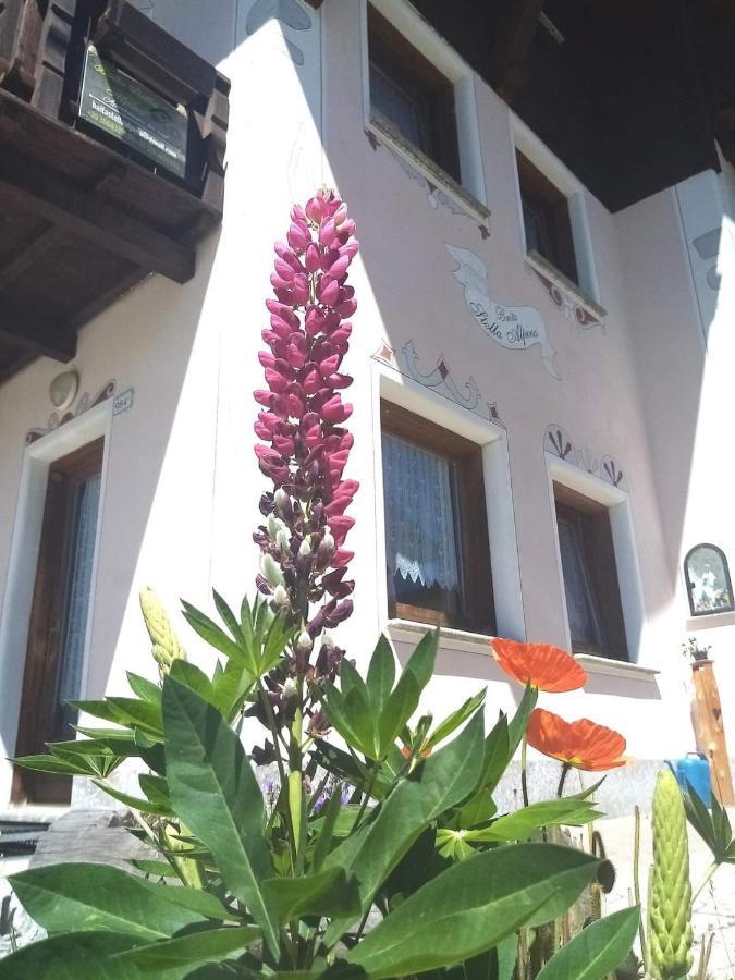 Baita Stella Alpina Livigno Exteriér fotografie
